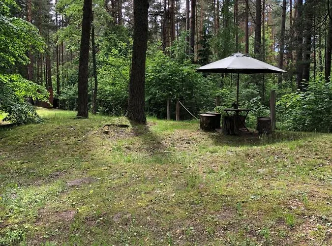 Отель Oravapesa *